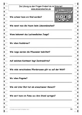 Wissenskartenfragen 58.pdf